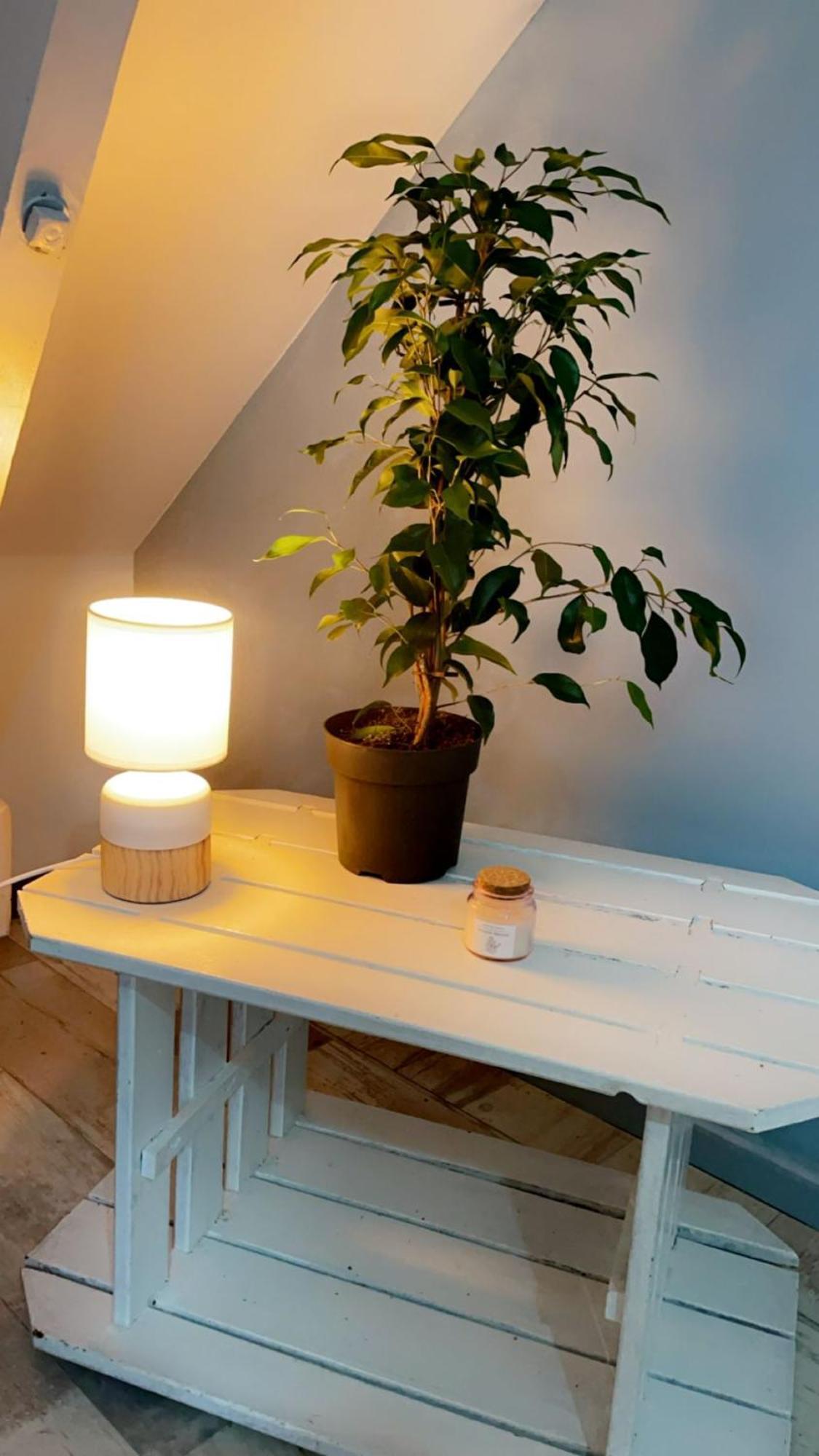 55m2 - 4 Personnes - Cosy - Proche Nausicaa Apartment *